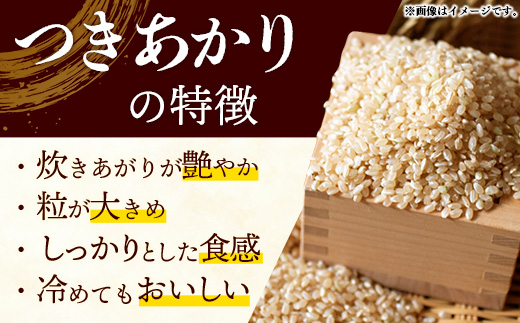 令和7年産 開運米 つきあかり（玄米）幸手産 - 5kg×2袋 10kg 福祉 応援 安心 安全 埼玉県 幸手市 幸手市産