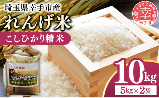 レンゲ米　こしひかり 精米 5kg×2袋 - コシヒカリ 白米 10kg 5kgずつ 2袋 レンゲ農法 れんげ農法 栽培 埼玉県 幸手市 幸手市産