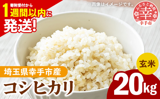 令和7年産 幸手市産 コシヒカリ 玄米20kg 色彩選別済 Brown Rice - お米 米 こしひかり 玄米 20kg 埼玉県 幸手市