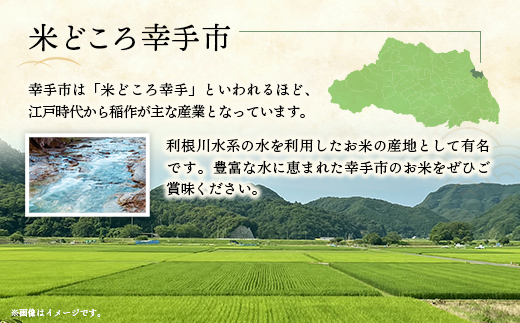 令和6年度産 コシヒカリ 5kg - こしひかり 5kg 令和6年産 精米 埼玉県 幸手市 幸手市産