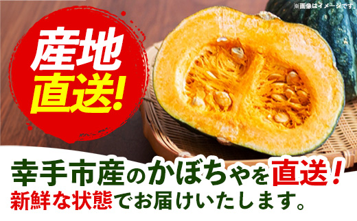【きあり農園】2026年度 幸手市産 かぼちゃ 約10kg - カボチャ 南瓜 くり大将 くり将軍 産地直送 野菜 ベジタブル 美味しい おいしい 緑黄色野菜 大容量 国産 おすすめ 送料無料 埼玉県 幸手市