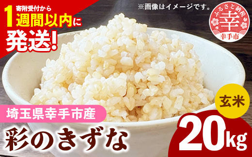 令和7年産【彩のきずな】玄米20kg 色彩選別済 Brown Rice - お米 米 ごはん 玄米 20kg 埼玉県 幸手市