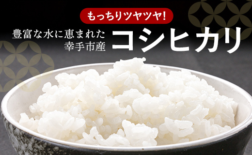 令和6年度産 コシヒカリ 5kg - こしひかり 5kg 令和6年産 精米 埼玉県 幸手市 幸手市産