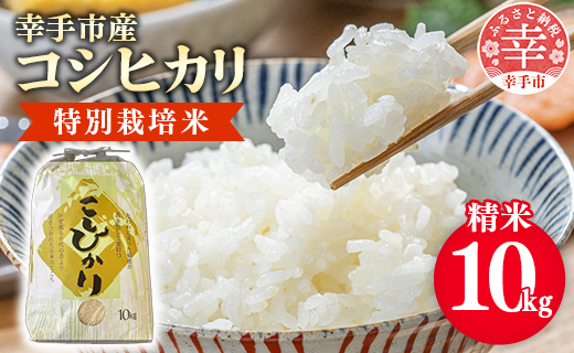 【令和7年産】有機肥料100％ 埼玉県幸手市産特別栽培コシヒカリ 精米10kg -2025年10月1週目より順次発送 新米発送 コシヒカリ こしひかり 米 精米 10kg 有機肥料 特別栽培米 幸手市産 埼玉県 幸手市