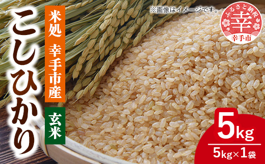 令和7年幸手産 こしひかり【玄米】5㎏×1袋 - コシヒカリ 玄米 5kg 令和7年産 埼玉県 幸手市 幸手市産
