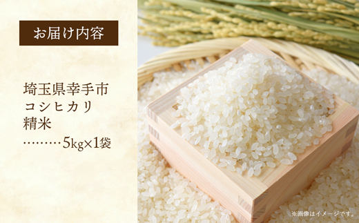 埼玉県幸手市産神扇機械化センターさんのコシヒカリ5kg - こしひかり 米 精米 食味 こだわり おすすめ 幸手市産 埼玉県 幸手市