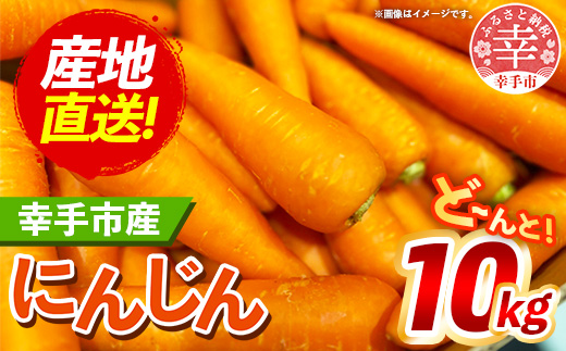 【きあり農園】幸手市産 人参 10kg - 採れたて にんじん ニンジン 産地直送 野菜 ベジタブル 美味しい おいしい 根菜 煮物 炒め物 カレー サラダ おすすめ 送料無料 埼玉県 幸手市