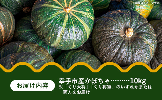 【きあり農園】2026年度 幸手市産 かぼちゃ 約10kg - カボチャ 南瓜 くり大将 くり将軍 産地直送 野菜 ベジタブル 美味しい おいしい 緑黄色野菜 大容量 国産 おすすめ 送料無料 埼玉県 幸手市