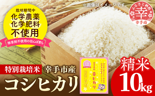 【令和7年産】無農薬・無化学肥料栽培 埼玉県幸手市産特別栽培コシヒカリ 「幸ヒカリ」精米10kg - 新米発送 コシヒカリ こしひかり 米 精米 10kg 特別栽培米 幸手市産 埼玉県 幸手市