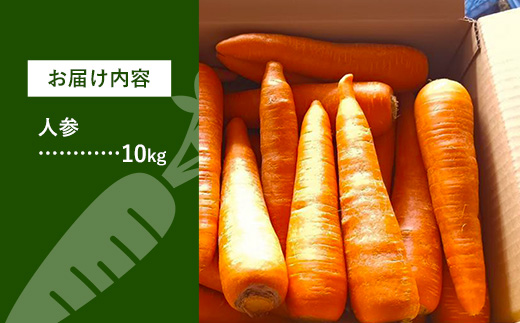 【きあり農園】幸手市産 人参 10kg - 採れたて にんじん ニンジン 産地直送 野菜 ベジタブル 美味しい おいしい 根菜 煮物 炒め物 カレー サラダ おすすめ 送料無料 埼玉県 幸手市