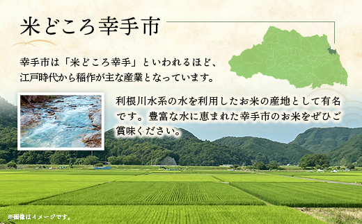 令和6年度産【特別栽培米】コシヒカリ 5kg - こしひかり 5kg 令和6年産 精米 埼玉県 幸手市 幸手市産