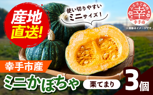 【きあり農園】2026年度 幸手市産 ミニかぼちゃ 3個 - カボチャ 南瓜 栗てまり 産地直送 野菜 ベジタブル 美味しい おいしい 緑黄色野菜 使いやすい 国産 おすすめ 送料無料 埼玉県 幸手市