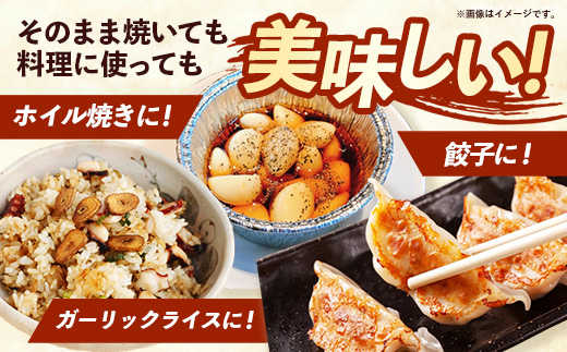 【きあり農園】2026年度 幸手市産 にんにく 1kg - 採れたて ニンニク ガーリック 産地直送 野菜 ベジタブル 美味しい おいしい 根菜 スタミナ 大蒜 生にんにく 国産 おすすめ 送料無料 埼玉県 幸手市