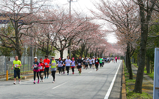 第32回幸手市さくらマラソン大会出走権（駐車券付）（種目：10km）