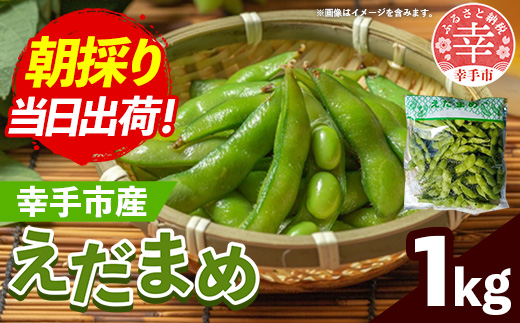 【きあり農園】2026年度 幸手市産 枝豆 1kg - 朝採り えだ豆 エダマメ 産地直送 野菜 ベジタブル 美味しい おいしい 豆 ずんだ おつまみ 晩酌 枝豆ご飯 おすすめ 送料無料 埼玉県 幸手市