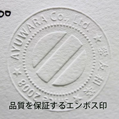 版画 絵画 名画 カーネーション、リリー、リリー、ローズ(1885-1886) ジョン・シンガー・サージェント　LL   【11246-0299】