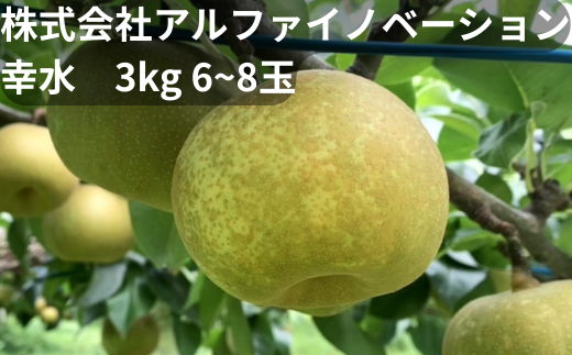 【2026年発送分 先行予約】アルファイノベーション株式会社　幸水　3kg 6~8玉【11246-0365】