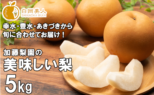 加藤梨園の美味しい梨　約5kg　幸水・豊水・あきづき　【11246-0184】