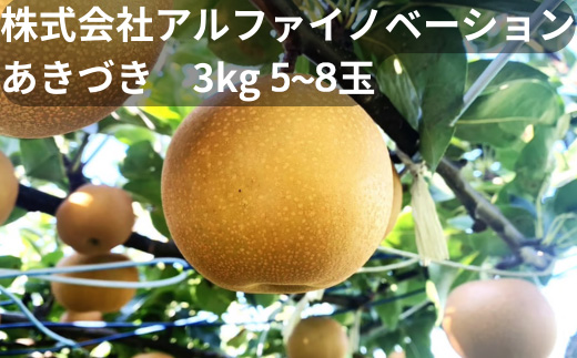 ã¢ã«ãã¡ã€ãããŒã·ã§ã³æ ªåŒäŒç€Ÿãããã¥ãã3kg 5~8çã11246-0366ã