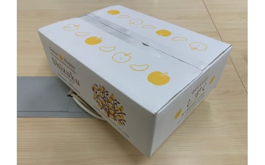 【2026年発送分 先行予約】アルファイノベーション株式会社　あきづき　3kg 6~8玉【11246-0366】