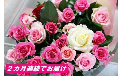 【約20本×2カ月】生産者直送　有機栽培で育った朝切りバラの花束　花の定期便　【11246-0043】