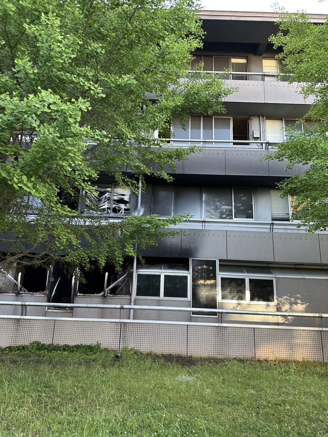 縲仙涵邇臥恁逋ス蟯。蟶ゅ台サ、蜥鯉シ怜ケエシ墓怦縲蟶ょコ∬守↓轣ス謾ッ謠エ