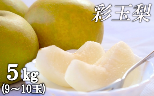 白岡の梨「白岡美人」彩玉梨約5kg（9玉～10玉）　【11246-0079】