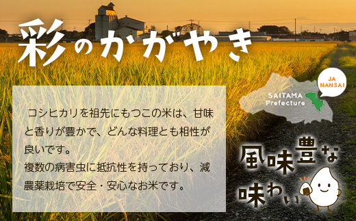 ＜令和6年産＞「彩のきずな・彩のかがやき」10kg(5kg×2袋・精米)　【11246-0283】