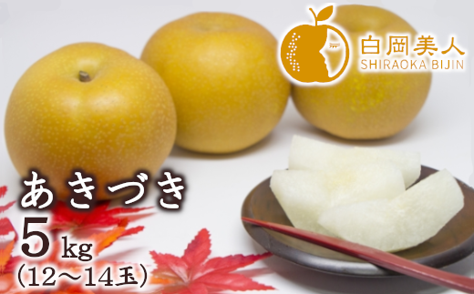 白岡の梨「白岡美人」あきづき梨約5kg（12～14玉）　【11246-0084】