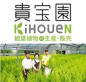 繝励Ο縺碁∈縺カ隕ウ闡画、咲黄縲ス槭し繝ウ繧エ縲7蜿キ驩「ス槭縲11246-0368縲
