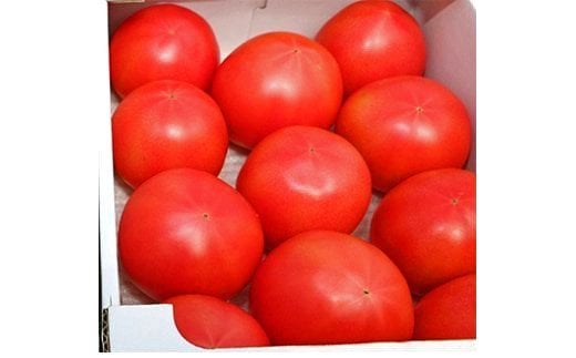 甘熟トマト『白岡の太陽』約2kg　【11246-0125】