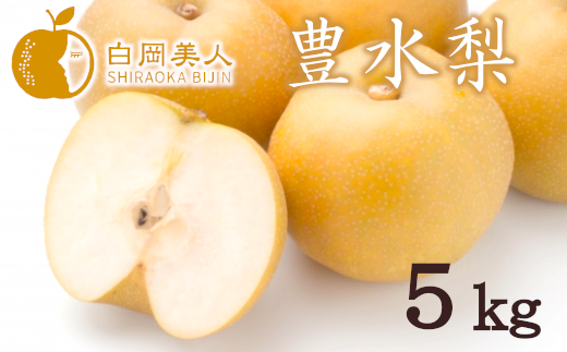 白岡の梨「白岡美人」豊水梨約5kg（12玉～14玉）　【11246-0082】