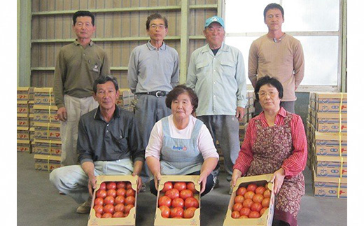 【3か月定期便】甘熟トマト『白岡の太陽』約2kg×3か月　【11246-0124】