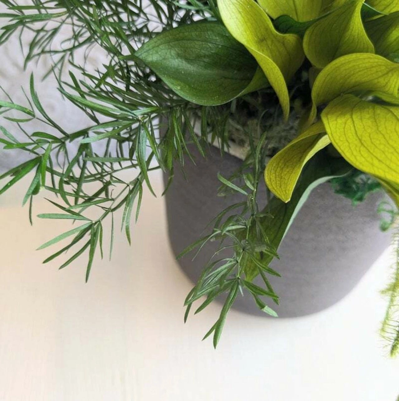 å£ç¯ã®ã¢ã¬ã³ãžãã11246-0284ã