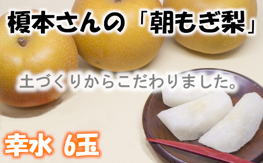 【先行予約】【幸水（3L〜4L）6玉】土づくりからこだわる！榎本さんの「朝もぎ梨」　【2025年8月中旬より発送】【11246-0061】