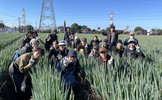 【3ヶ月連続お届け】関田農園の「厳選　長ねぎ（泥付き）」箱3kg×3回　美味しい定期便　【11246-0111】