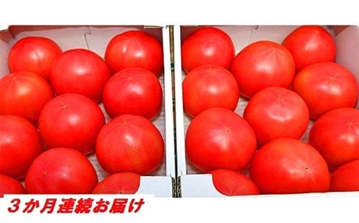 【3か月定期便】甘熟トマト『白岡の太陽』約4kg×3か月　【11246-0122】
