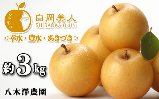 八木澤農園の美味しい梨　約3kg（糖度保証）幸水・豊水・あきづき【11246-0268】