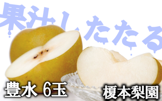 【先行予約】果汁したたる榎本梨園自慢の完熟梨　豊水6玉（3L〜4L）【2025年9月上旬より発送】　【11246-0062】