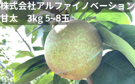 ã¢ã«ãã¡ã€ãããŒã·ã§ã³æ ªåŒäŒç€Ÿãç倪ã3kg 5~8çã11246-0367ã