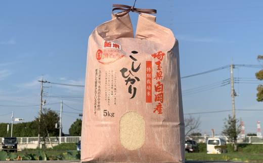 ＜令和6年産＞特別栽培米　コシヒカリ　5kg　【11246-0108】