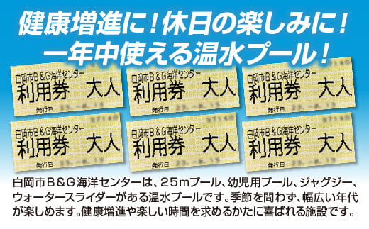 白岡市B&G海洋センター利用券（500円券）6枚　【11246-0272】