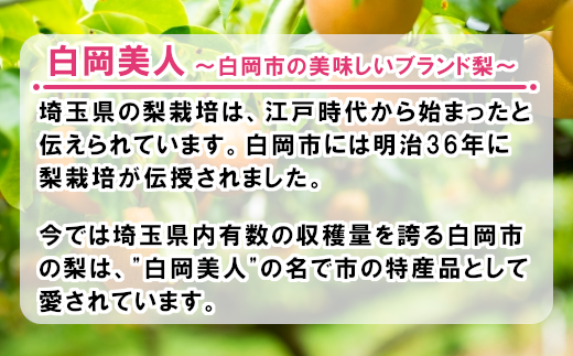 折原梨園のおいしい梨　約5kg　幸水・豊水・あきづき　【11246-0181】