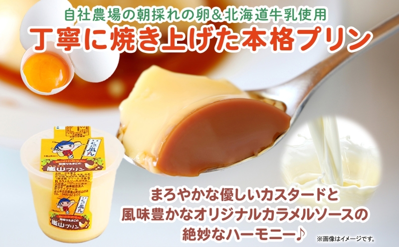 朝採りたまごの嵐山プリン お菓子 卵加工品　朝採り たまご 嵐山プリン 卵 コク 旨味 加工品 まろやか たまご プリン 焼プリン カスタード カラメル セイメイファーム 埼玉県 嵐山町