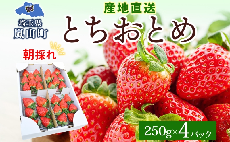 朝採れ とちおとめ 完熟 イチゴ 250g× 4パック セット 1kg 産直 果物 いちご デザート スイーツ 甘い 美味しい 真っ赤 酸味 ハウス 甘味 バランス 品質管理 手摘み 冷蔵 埼玉県 嵐山町