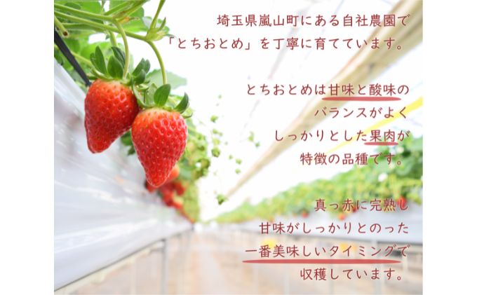 埼玉県嵐山町産とちおとめ　完熟イチゴ4パックセット