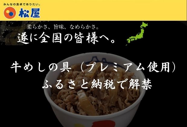 松屋 牛めし 豚めし カレー 30個 セット 冷凍 カレー 牛丼 豚丼