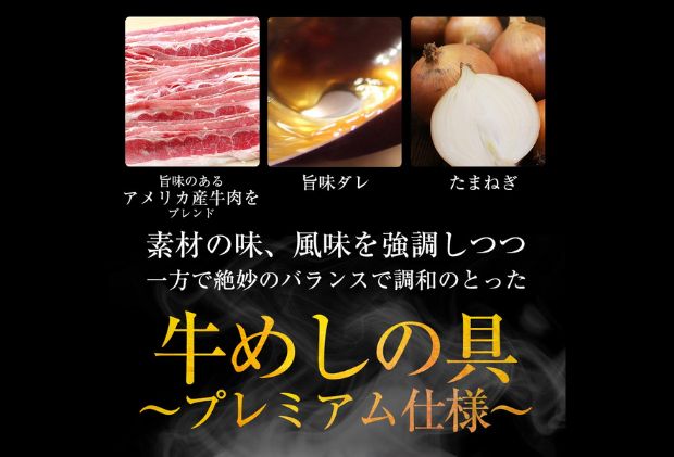牛丼 松屋 プレミアム仕様 牛めしの具 10個 冷凍 セット