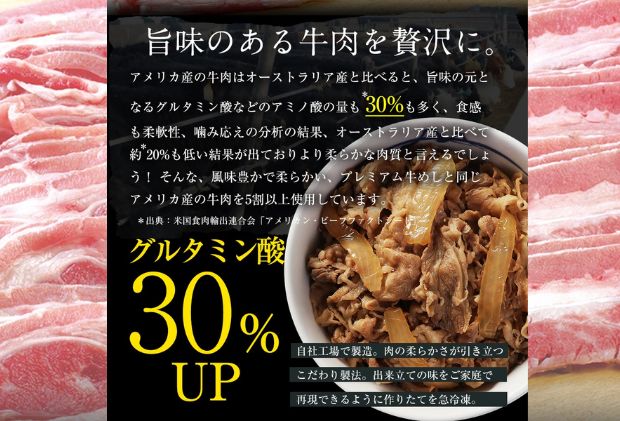 牛丼 松屋 乳酸菌入 プレミアム仕様 牛めしの具 10個 冷凍 セット