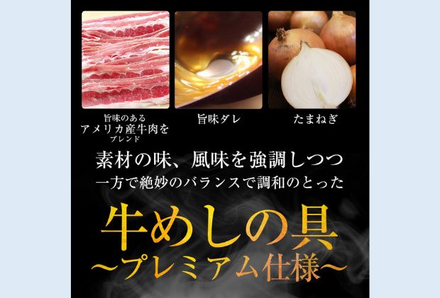 牛丼 松屋 乳酸菌入 プレミアム仕様 牛めしの具 10個 冷凍 セット